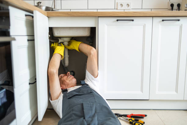  Buena Vista, MI Plumbing Pros