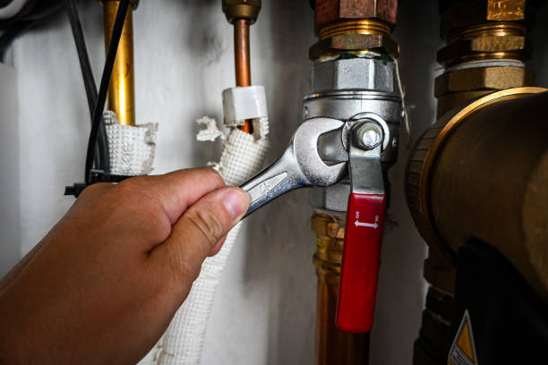Best Plumbing Services Near Me  in Buena Vista, MI